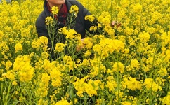 一仆二主百度影音